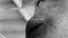 Capa do álbum "Nectarine", do The Funeral Advantage