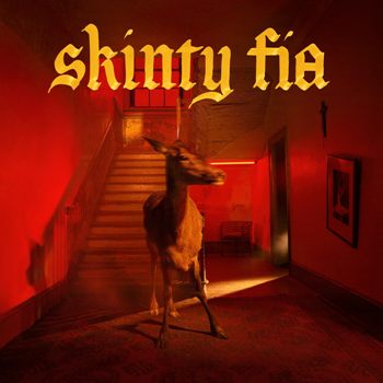 Capa do álbum Skinty Fia, do Fontaines DC