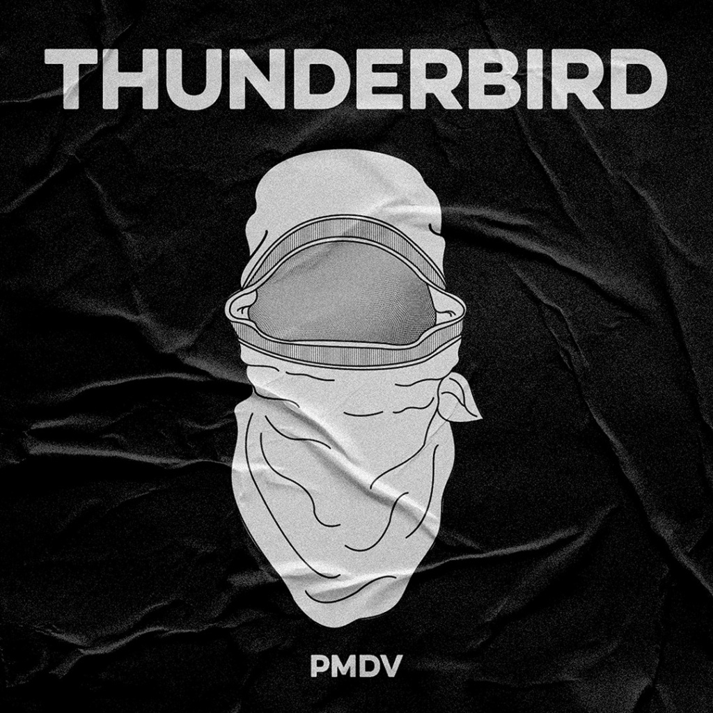 Capa do álbum Pequena Minoria de Vândalos, de Thunderbird