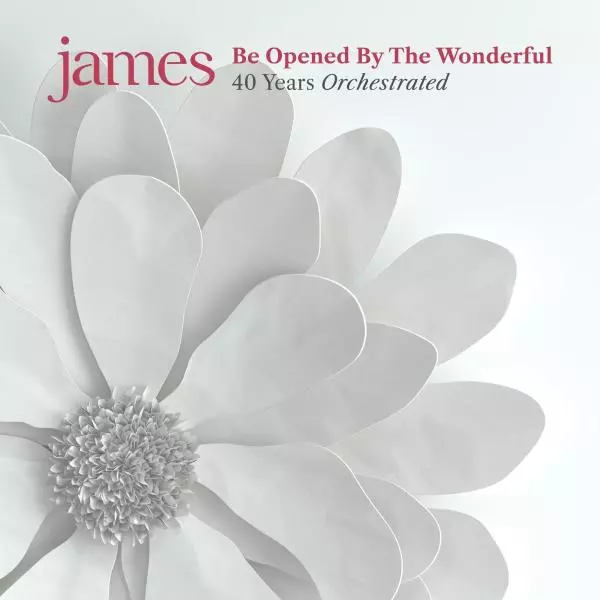 james-BE-OPENED-BY-WONDERFUL