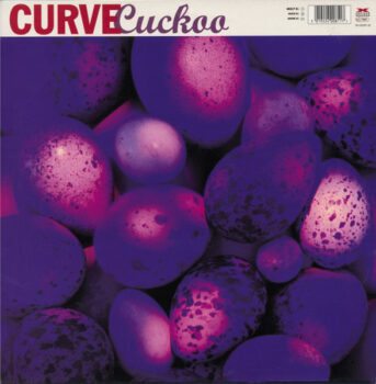 Curve-Cuckoo-Artwork