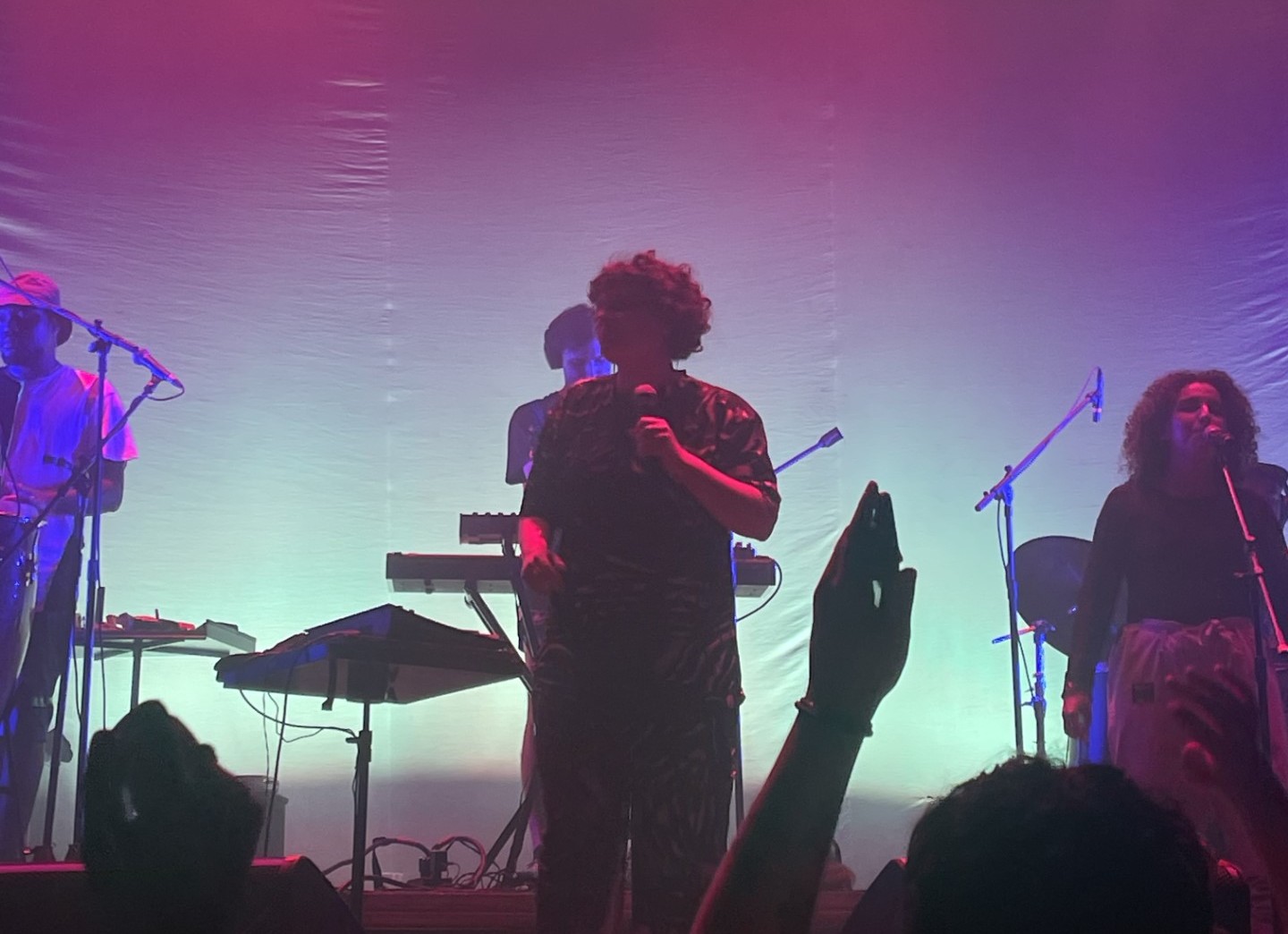 Ana Frango Elétrico no Circo Voador3