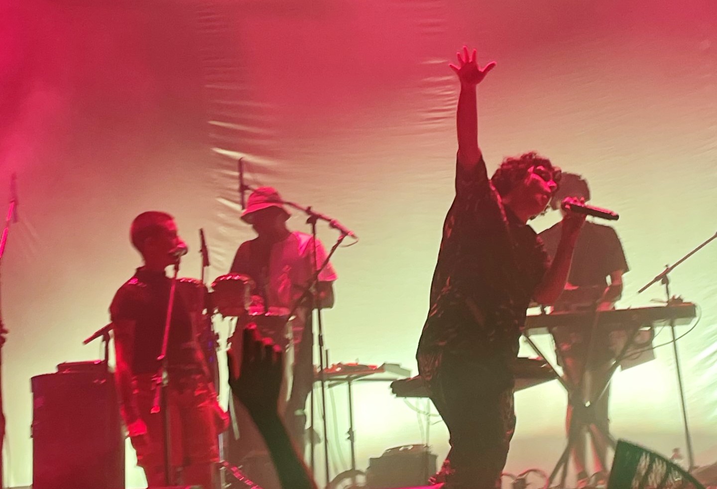 Ana Frango Elétrico no Circo Voador2