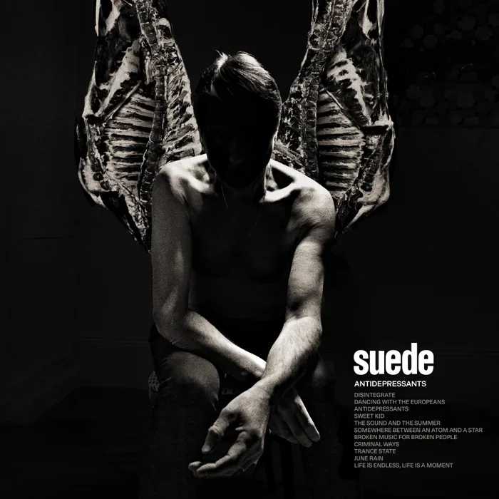 suede-antidepressants